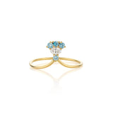 Pride Ring