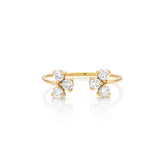Twin Heavenly Ring