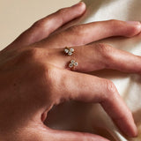 Twin Heavenly Ring