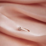 Heavenly Ring